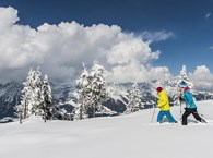 Ellmauer Winterwanderung