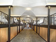 Lipizzaner Stock guided Tour at Stanglwirt