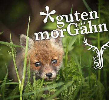 GutenMorgen-Fuchs