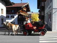 Horse-drawn carriage rides Achlhof