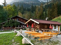 Pasture Hinterschießlingalm