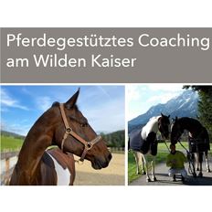 Trattenbachhof - Pferdegstützes Coaching