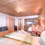 ap./combined living-bed-room/shower, WC