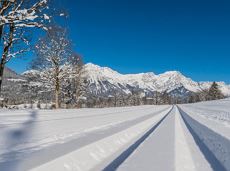 Winterwanderweg Verbindung Scheffau-Söll