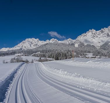 Cross-country skiing
