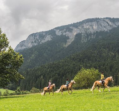 Drei Reiterinnen auf hellbraunen Pferden vor grün bewaldetem Gebirge