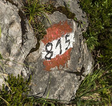 Ein Stein auf dem die Zahl 815 gemalt ist mit einem rot-weißen Kreis drunter
