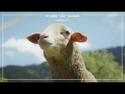 Poiderhof | Wilder Kaiser market square