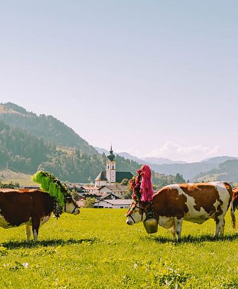 Almabtrieb in Söll am Wilden Kaiser