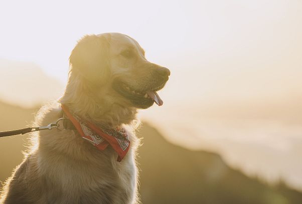 Fotoworkshop_Herbst2024_DominikaTeluchovà (119)