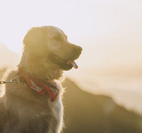 Fotoworkshop_Herbst2024_DominikaTeluchovà (119)