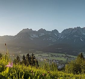 Blick auf eine Berglandschaft von einer Wiese aus