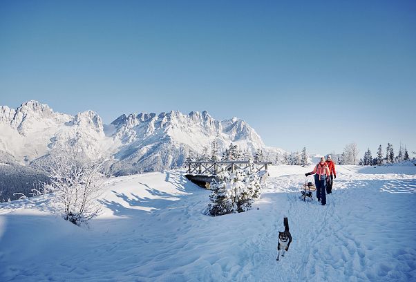 Zwei Frauen ziehen die Rodel und Hund läuft voran