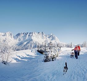 Zwei Frauen ziehen die Rodel und Hund läuft voran