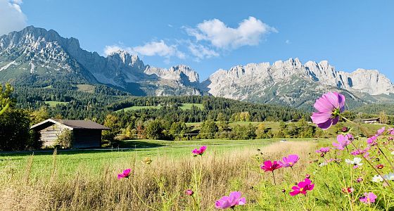6 spannende Abenteuer für Familien
