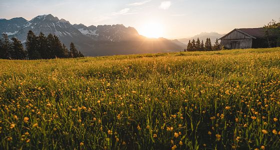 Warum Wiesen nicht betreten werden wollen