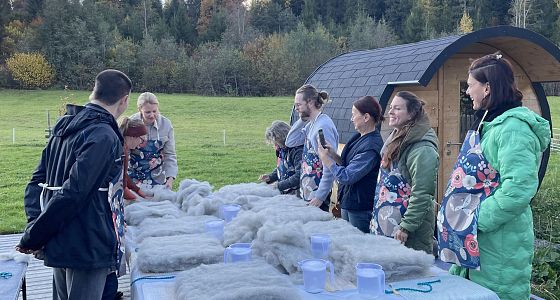 Vom Schaf zum Pullover – oder: Wie ich mein eigenes Wanderkissen filzte