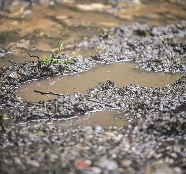 11889_20240601_145808_367990236_original