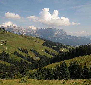 Wiesen und Felder vor dem Wilden Kaiser