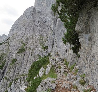 Drahtseilversicherung Eggersteig