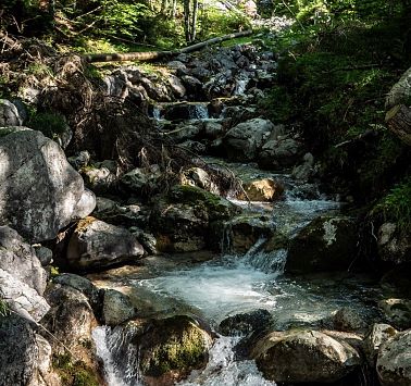 Wasser im Bach