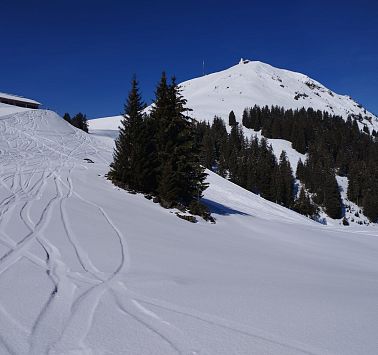 831f7f39-b291-42f7-9c0e-1c07c536ab2e