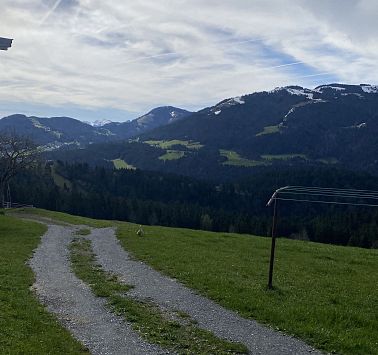 AuchamBerglebenTiereundfressenGras_MariaSevignani