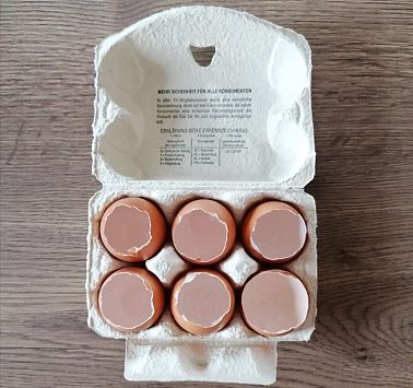 Basteln_Eierkarton-Utensilien_02