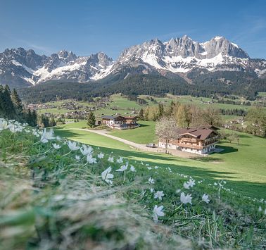 fruehling-panorama-wilder-kaiser-foto-emanuel-adensam-5.jpg
