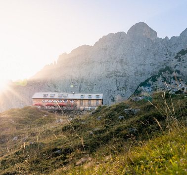 Gastbeitrag_(c)SaddleStories_12