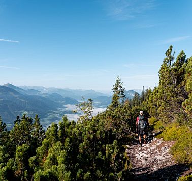 Gastbeitrag_(c)SaddleStories_18