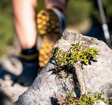 Gastbeitrag_(c)SaddleStories_21