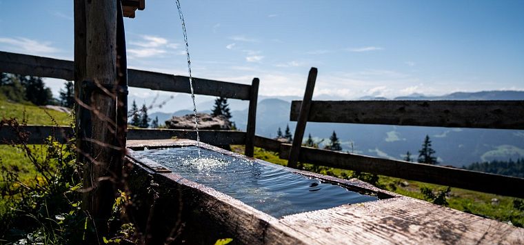 Gastbeitrag_(c)SaddleStories_25