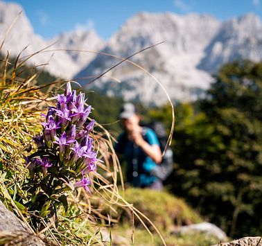 Gastbeitrag_(c)SaddleStories_26