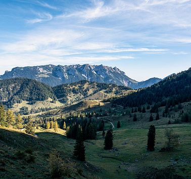 Gastbeitrag_(c)SaddleStories_35