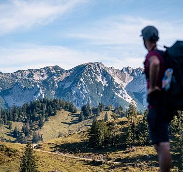 Gastbeitrag_(c)SaddleStories_37