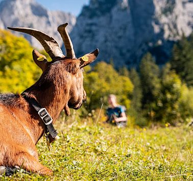 Gastbeitrag_(c)SaddleStories_40