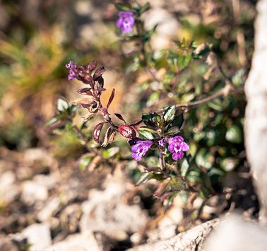 Gastbeitrag_(c)SaddleStories_48