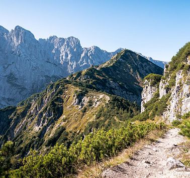 Gastbeitrag_(c)SaddleStories_50