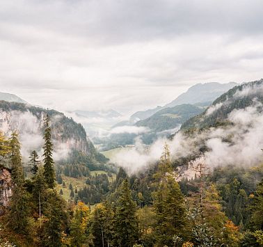 Gastbeitrag_(c)SaddleStories_55