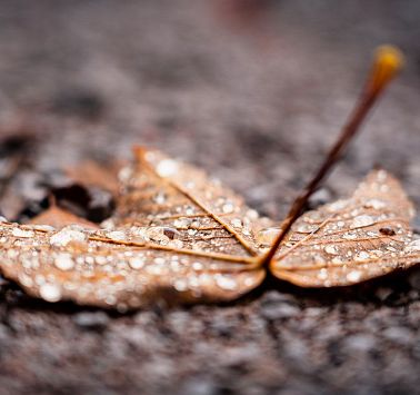 Gastbeitrag_(c)SaddleStories_56