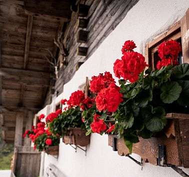 Gastbeitrag_(c)SaddleStories_57