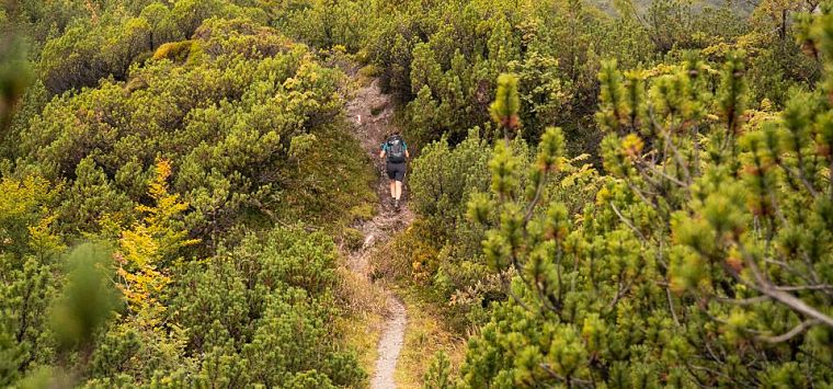 Gastbeitrag_(c)SaddleStories_58