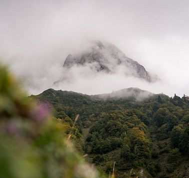 Gastbeitrag_(c)SaddleStories_60