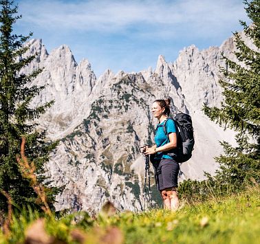 Gastbeitrag_(c)SaddleStories_8