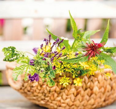 Verschiedene bunte Pflanzen in einem Korb