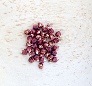 Blick von oben auf rote Körner in einer Schale aus Holz