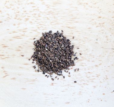 Kleine schwarze Samen liegen auf Holzuntergrund