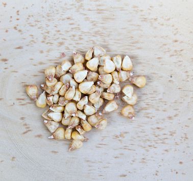 Grobe gelbe Maiskörner liegen in einer Schale aus Holz