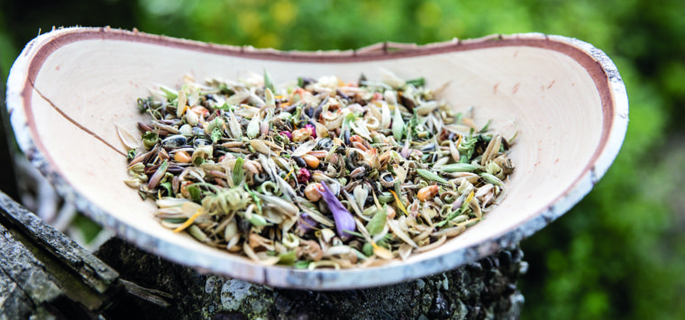 Schale voller verschiedener Körner und Samen